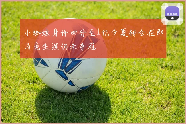 小蜘蛛身价回升至1亿今夏转会在即马竞生涯仍未夺冠