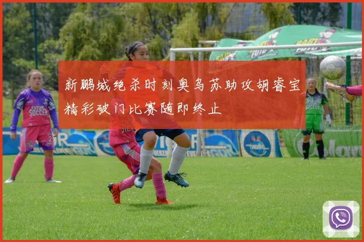 新鹏城绝杀时刻奥乌苏助攻胡睿宝精彩破门比赛随即终止