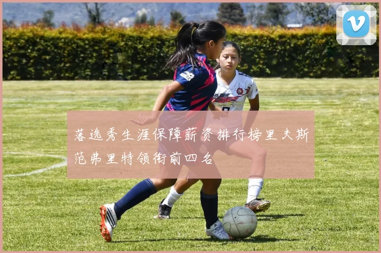 落选秀生涯保障薪资排行榜里夫斯范弗里特领衔前四名